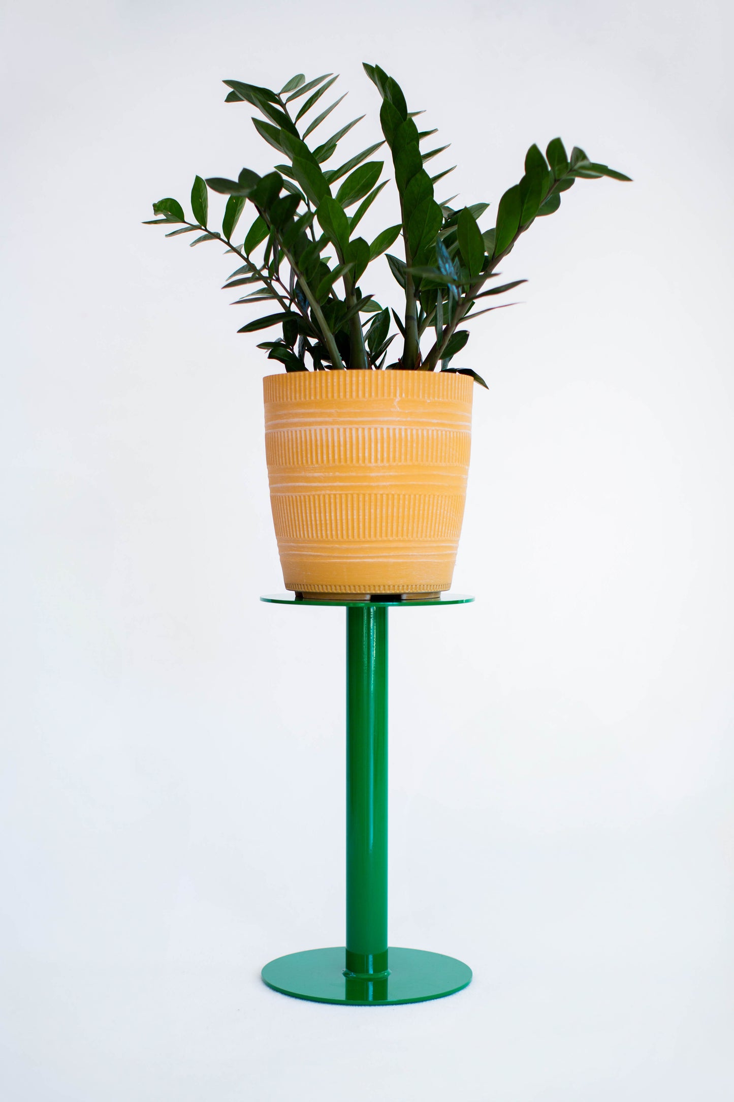 TATANKA | 18”