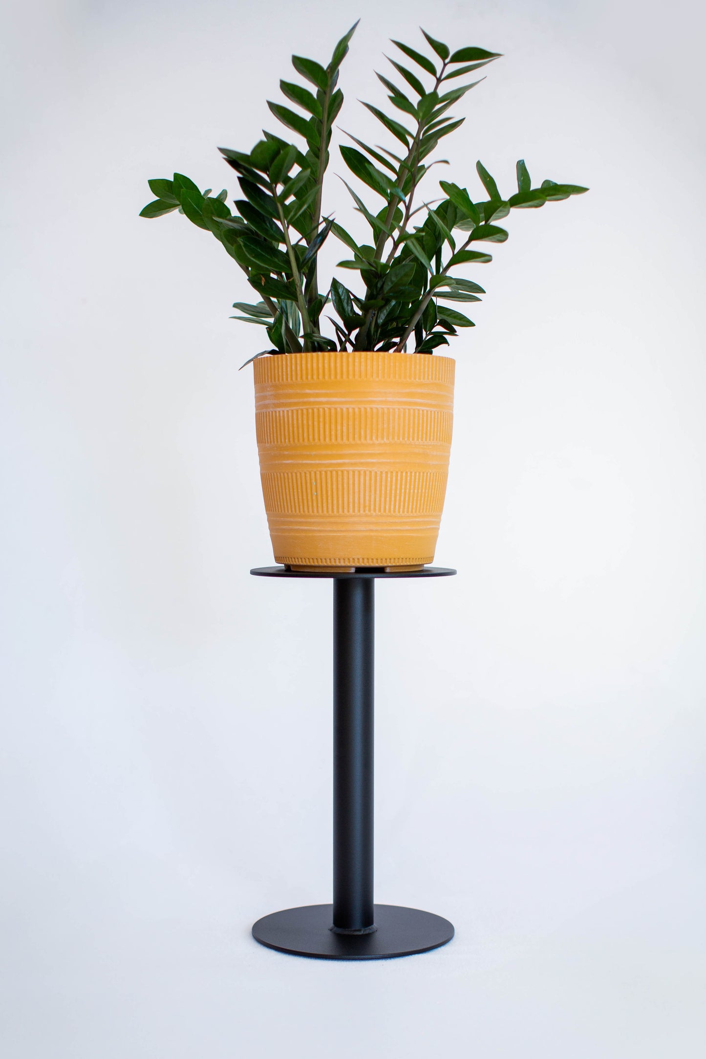 TATANKA | 18”