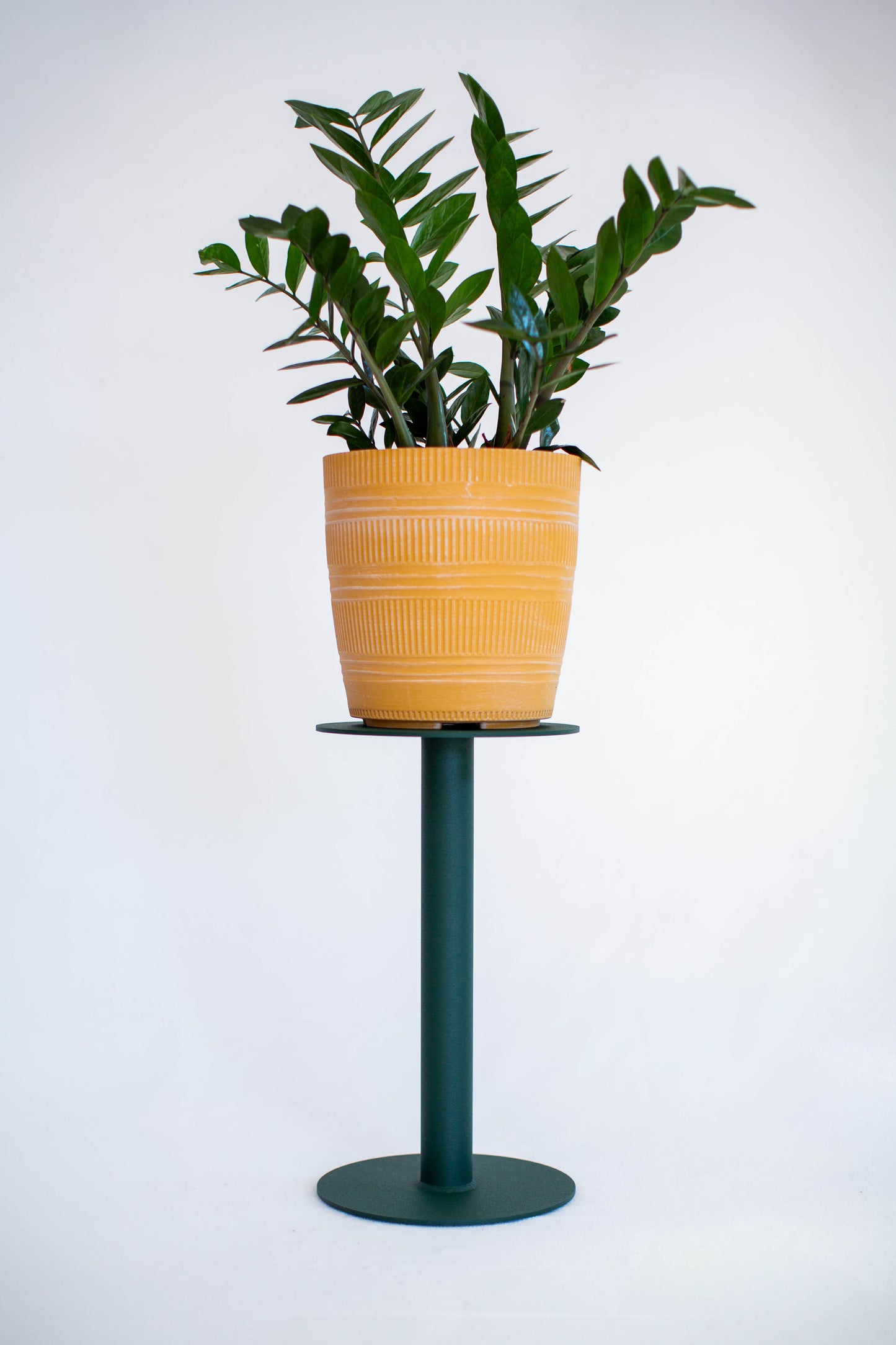 TATANKA | 18”