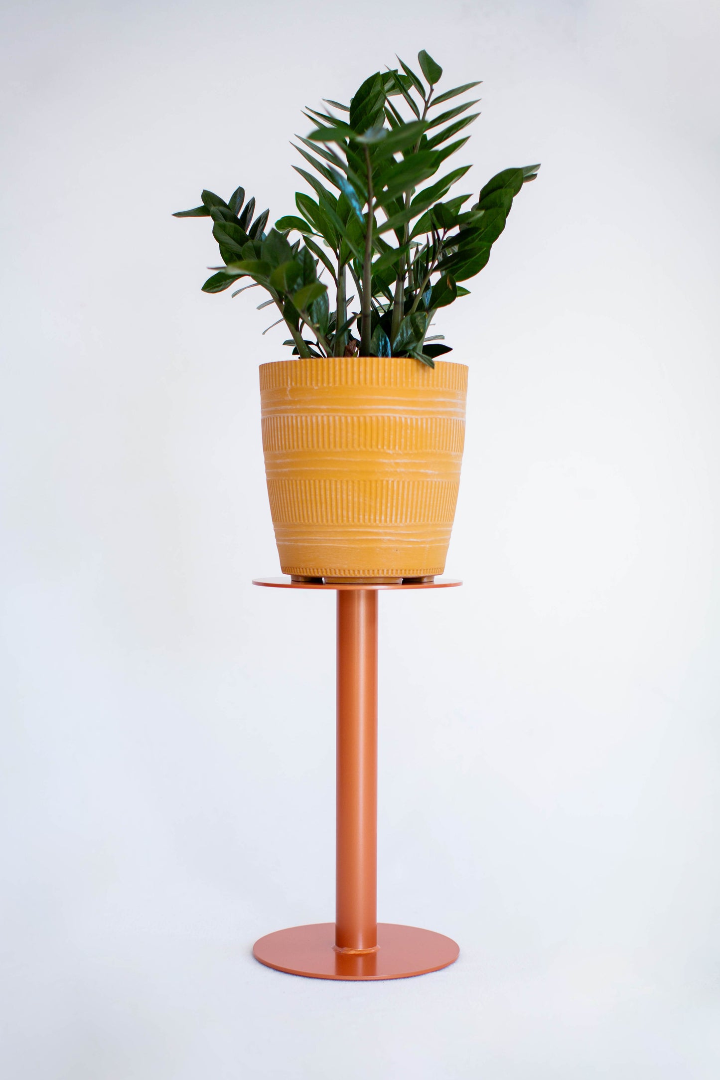 TATANKA | 18”